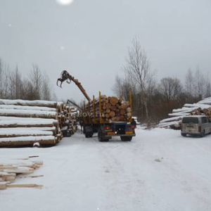 Складирование зимнего леса
