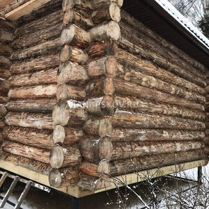 Баня в чашу из окоренного бревна, проект заказчика