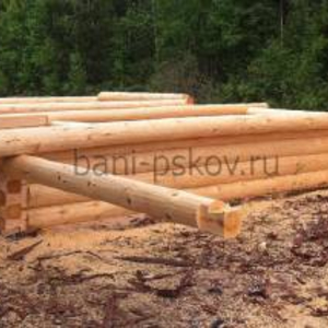 Протес парного отделения