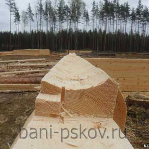 Полукруглый продольный паз, коренной шип у лапы